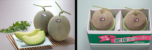 肥後グリーンメロン　1.7kg × 2玉 贈答用 熊本県産 メロン 「果物の王様」 糖度は1...