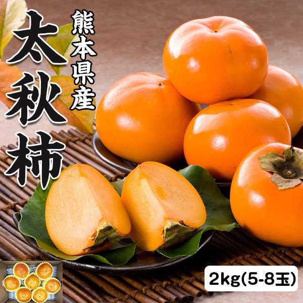 商品名 太秋柿 2kg（1箱5-8玉）贈答用　熊本県産・高級ギフト 送料無料 お届けの目安 10月中旬頃から出荷開始予定※指定日不可※収穫状況によって申込締切・配達予定を変更する場合があります。 配送に関しまして 送料無料※北海道・東北は別途追加送料+550円（ご注文後加算） 内容量 太秋柿 2kg（1箱5-8玉）贈答用 賞味期限 商品到着後、早めにお召し上がりください。 備考 太秋柿の一番おいしい旬を堪能できる時期は非常に短く、「ギフト広場」で取り扱っているのも秋の限られた時期のみです。まだ未体験の方はこの時期限定で一般的にあまり出回っていない珍しい太秋柿をぜひご賞味ください。「果物の旬のおいしさ」を100の言葉で雄弁に語るより、太秋柿を体験して頂くことでより実感頂けるのではないかと思います。 気候の影響による生育状況により発送開始日、終了日が前後する場合があります。 変更手数料について ◆◆◆【配送業者の「お届け先変更・転送」有料化についてのご案内】◆◆◆ ご注文頂きました内容で「お届け先住所」などのご変更、又は訂正のある場合は、 ご注文後、速やかにご連絡いただけますよう、何卒よろしくお願い申し上げます。 ※産地出荷後に「お届け先変更」、又は「転送」については「別途一般向け送料」がかかることになりました。予めご了承下さいませ。 ※転送された場合、お受取人様に代引きでご請求される運送業者もございますので予めご了承ください。 ※長期不在・又は配送業者の期限でメーカーや農園に戻った場合も往復の送料がかかります。 ※参考片道送料　常温便　⇒　770円〜1300円 ※参考片道送料　クール便　⇒　1250円〜2850円 ※よくあるお問い合わせ例：　引っ越しなどで住所が変わった、相手先の住所を入れ忘れた、住所が間違っていたなど。商品情報■商品名：　太秋柿 2kg（1箱5-8玉）贈答用　熊本県産・高級ギフト 送料無料 ■お届けの目安：　10月中旬頃から出荷開始予定 ※指定日不可 ※収穫状況によって申込締切・配達予定を変更する場合があります。 ※産地「直送品」となります。 ※お急ぎの方はご注文をご遠慮願います。 ※北海道・東北は別途追加送料+550円（ご注文後加算） ■内容量：　太秋柿 2kg（1箱5-8玉）贈答用 ■賞味期限：　商品到着後、早めにお召し上がりください。 ■産地：　熊本県産 ■備考：　太秋柿の一番おいしい旬を堪能できる時期は非常に短く、「ギフト広場」で取り扱っているのも秋の限られた時期のみです。まだ未体験の方はこの時期限定で一般的にあまり出回っていない珍しい太秋柿をぜひご賞味ください。「果物の旬のおいしさ」を100の言葉で雄弁に語るより、太秋柿を体験して頂くことでより実感頂けるのではないかと思います。 気候の影響による生育状況により発送開始日、終了日が前後する場合があります。