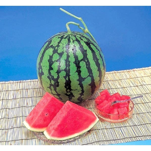 すいか リアルタイムランキング1位！ スイカ 熊本県産 1箱 5kg×2玉　高級すいか/等...