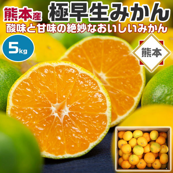 【予約】　みかん 極早生みかん 5kg 初物 熊本県 ミカン ご家庭用 ご自宅用 フルーツ 果物 お取り寄せ ギフトにも 遅めの敬老の日 お供え　9月下旬頃から出荷開始予定 gift-hiroba-10003605 ギフト広場 楽天市場店 パッケージ画像