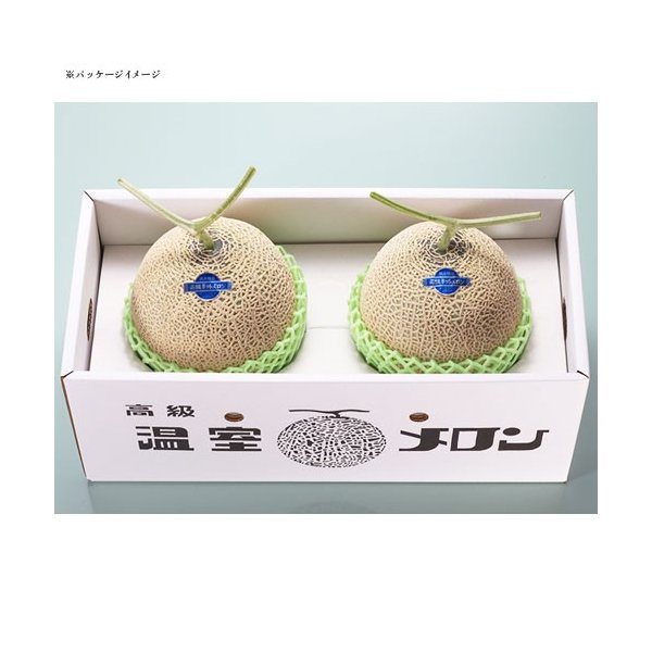 メロン マスクメロン 2玉 贈答用「果物の王様」百貨店品質の高級品・プレゼント　...