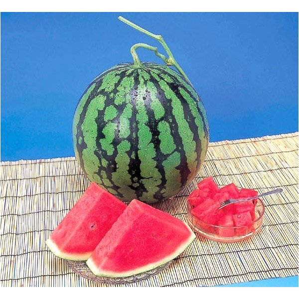 リアルタイムランキング1位！ すいか スイカ 熊本県産 1箱 6kg × 2玉 Lサイズ 高級...