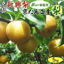 新興 梨・京たんご産 5kg (7-12個)【訳あり・家庭用】京都府京丹後市産・高級ギフト・K農園限定 限定口数・送料無料