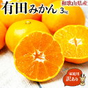 有田 みかん 3kg 訳あり 家庭用【和歌山県・有田産】小玉も混合・有田ミカン 【出荷日お任せ・指定日不可】・送料無料