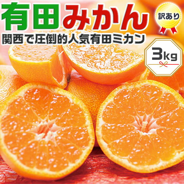 甘い完熟 有田みかん 3kg 訳あり 家庭用【和歌山県有田市産】甘い小玉も混合有田ミカン 【出荷日お任せ・指定日不可】ギフト・送料無料 予約:11月20日以降か...