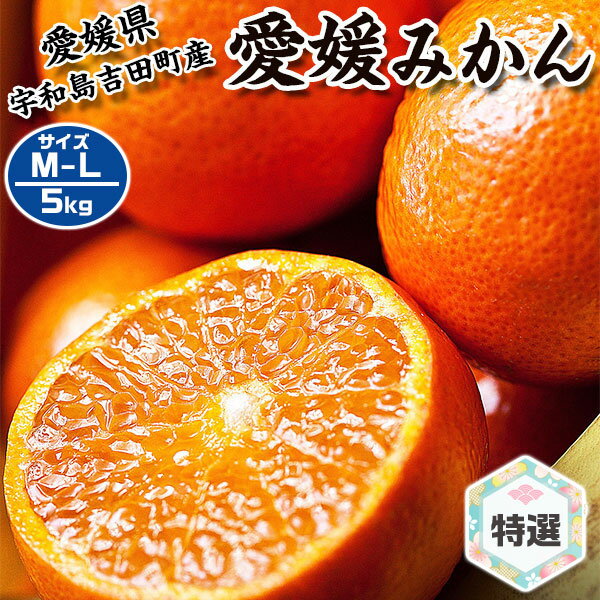お歳暮　愛媛　完熟 みかん　5kg　等級：特選 贈答用　M～Lサイズ　愛媛県宇和島市 吉田町産 箱買い　果物　フルーツ　贈答用ギフト　冬ギフト　送料無料のサムネイル