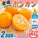 ポンカン　3kg　送料無料　(秀)　贈答用 L-2Lサイズ混合【愛媛吉田産】家庭用でもOK・柑橘の中でも甘味が強いポンカン・送料無料