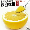 愛媛 河内晩柑 5kg 3Lサイズ指定 秀品・ギフト用 宇和ゴールド同品種 かわちばんかん 愛媛県愛南町産 柑橘みかん 果物 フルーツ 贈答用ギフトにも・送料無...