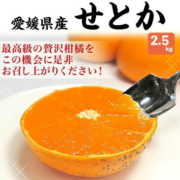 せとか 訳あり 2.5kg 1箱お買得 愛媛県産・M-2Lサイズ混合 (甘平と並ぶ高級柑橘)家庭用【出荷日お任せ・指定日不可】送料無料