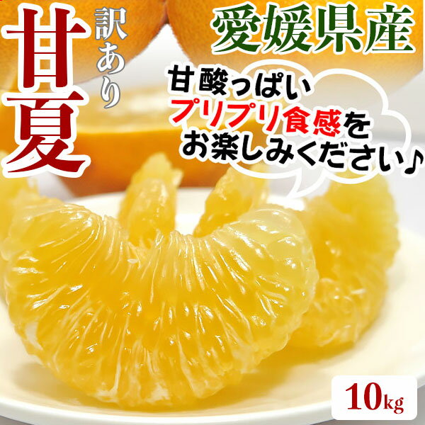 甘夏　訳あり　10kg　1箱 お買得あまなつ　愛媛県宇和島産・M～2Lサイズ混合 家庭用ギフト【出荷日お任せ・指定日不可】送料無料