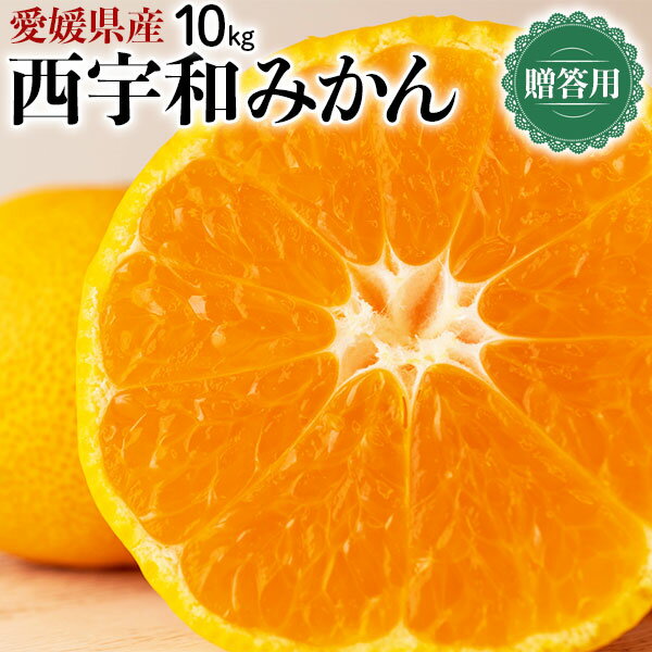 【西宇和産 限定】 愛媛　西宇和 みかん　贈答用　10kg　S〜Lサイズ【出荷日お任せ・指定日不可】愛媛でもワンランク上のみかん　愛媛県　家庭向けギフトお歳暮に　送料無料