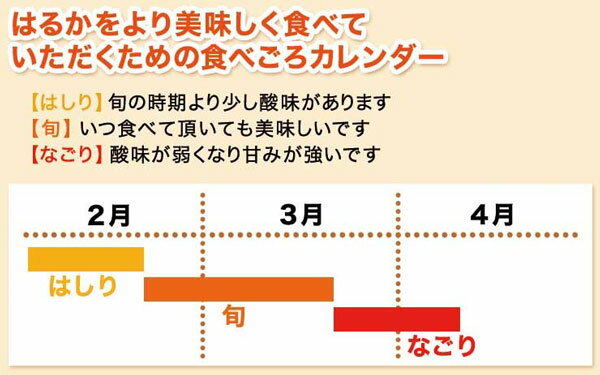 はるか　訳あり　5kg　M〜3Lサイズ　1箱 愛媛県産【サイズお任せ・出荷日お任せ・指定日不可】送料無料