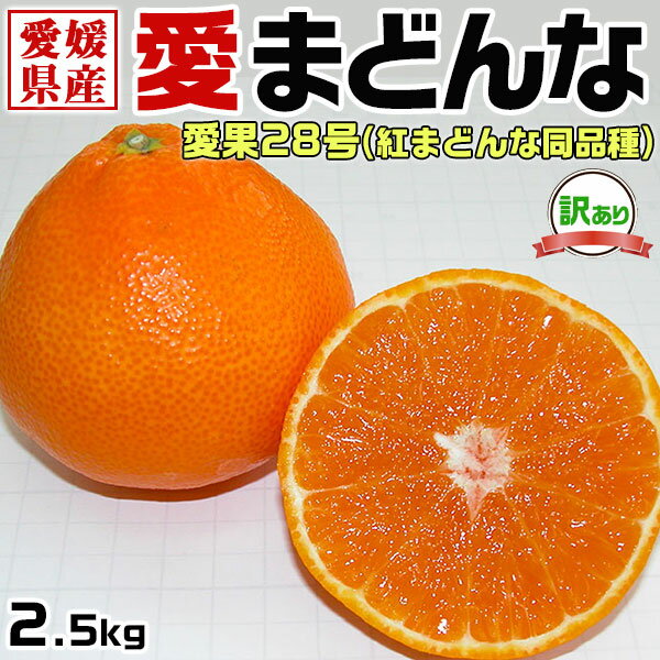 愛まどんな 2.5kg(愛果28号) 訳あり・家庭用　税込み3,290円！【紅マドンナ/愛媛まどんな同品種・S農園｜愛媛県産 高級柑橘】【出荷日お任せ・指定日不可】家庭用ギフト　送料無料