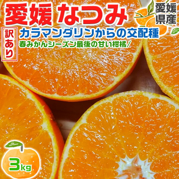 なつみ　みかん　訳あり　3kg 2S～2Lサイズ カラマンダリン からの交配種 愛媛県産 (シーズン最後の甘い系みかん)果物ギフト【出荷日お任せ・指定日不可】送料無料