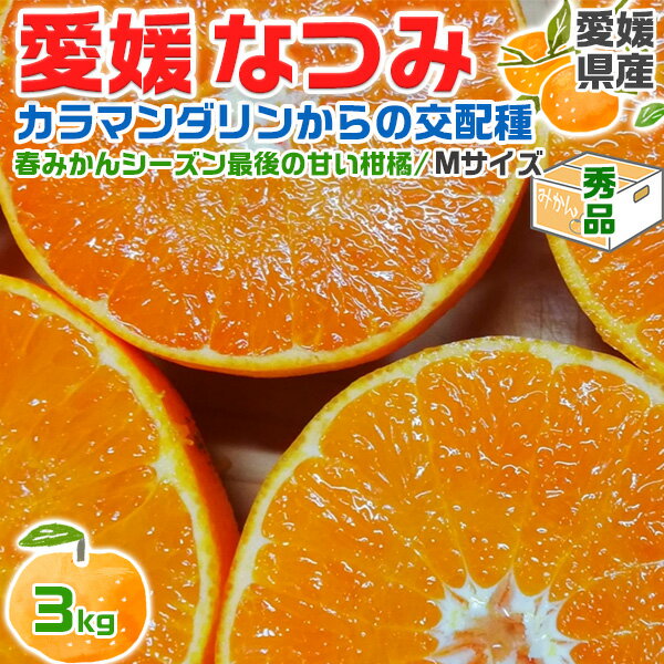 なつみ　みかん　秀品　贈答用　3kg Mサイズ カラマンダリン からの交配種 愛媛県産 (シーズン最後の甘い系みかん)果物ギフト【出荷日お任せ・指定日不可】送料無料(4.0)