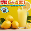 愛媛 レモン果汁 1000ml 6本セット まとめ買い ストレート果汁100%・愛媛県愛南町産レモン使用【果汁100%】レモネードやレモン水・料理・お菓子・お酒...