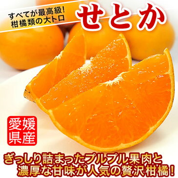 せとか 訳あり 2.5kg 1箱お買得 愛媛県産・M-2Lサイズ混合 (甘平と並ぶ高級柑橘)家庭用【出荷日お任せ・指定日不可】送料無料