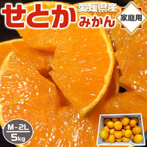 中島　せとか みかん　5kg　秀品・家庭用　M-2Lサイズ　中島産・蔵出し　中島青果　愛媛県産【高級柑橘】お買得品【出荷日お任せ・指定日不可】フルーツ　果物　手土産　プレゼント　柑橘　箱デザイン変更有 送料無料　SMC