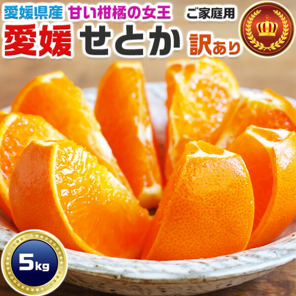愛媛みかん せとか 5kg M~3Lサイズ 家庭用・訳あり 愛媛県産【高級柑橘】お買得品【出荷日お任せ・指定日不可】箱デザイン変更有 送料無料 SMC
