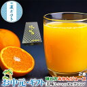 お中元 夏ギフト 紅まどんな ゼリー 6個入り 高級みかんゼリーギフト...(4)