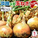あわじ島 玉ねぎ 5kg 1箱 淡路島 淡路玉葱 2Lサイズ前後【あわじ島・プレミアムたまねぎ】タマネギ 野菜 兵庫県あわじ島 家庭用ギフト・送料無料