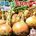 あわじ島 玉ねぎ 10kg (5kg×2箱) 淡路島 淡路玉葱 2Lサイズ前後【あわじ島・プレミアムたまねぎ】タマネギ 野菜 兵庫県あわじ島 家庭用ギフト・送料無料