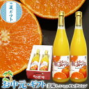 お中元 夏ギフト 紅まどんな ジュース 100%果汁ストレート ジュース 2本入り(720ml×2本1箱) JAえひめ中央 高級みかんジュース ギフト プレゼント 贈答品 贈り物 誕生日 敬老の日 果物 お取り寄せ グルメ お菓子 フルーツジュース えひめ中央農業組合 送料無料