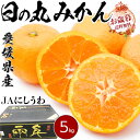 日の丸みかん 5kg M又はL【日の丸千両みかん・JAにしうわ】冬シーズン限定の柑橘・高級ギフト・送料無料