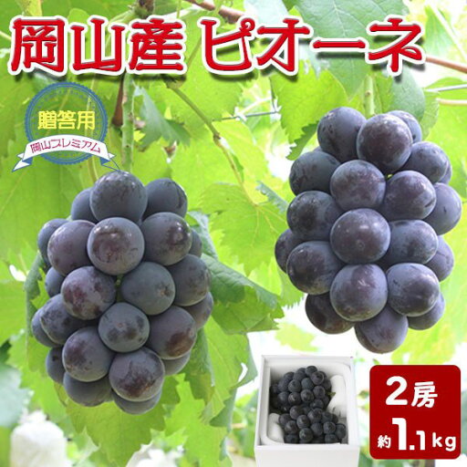 夏ギフト ピオーネ 2房 約1.1kg【特級】 岡山県産 ぶどう 大粒、種なし 贈答用 化粧箱・百貨店品質・お中元・ギフト 送料無料 夏ギフト ピオーネ 2房 約1.1kg【特級】 岡山県産 ぶどう 大粒、種なし 贈答用 化粧箱・百貨店品質・お中元・ギフト 送料無料
