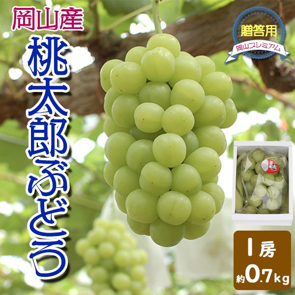 桃太郎ぶどう 1房 約 700g　岡山県産　ぶどう　大粒、種なし　贈答用　化粧箱・百貨店品質・お中元　お歳暮・ギフト 敬老の日　送料無料