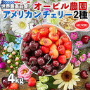 【最大2000円OFFクーポン】【予約】アメリカンチェリー GEE WHIZ オービル農園 大粒ダーク&レイニアチェリーMIX【合計4kg】世界最高品質 ワシン...