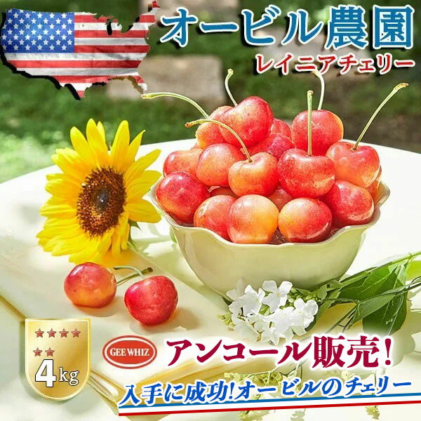 【最大2000円OFFクーポン】オービル農園 アメリカンチェリー 4kg GEE WHIZ 大粒レイニアチェリー レイニア種 レイニア チェリー 世界最高品質 ワシントン州産 ジーウィズ 高糖度 高級チェリー【7月10日～7月31日の出荷予定】レーニアチェリー 送料無料 00041K