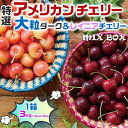 さくらんぼ 高級 アメリカンチェリー 大粒ダークチェリー&大粒レイニアチェリー MIX【3kg】ギフト お試し プレゼント 果物 希少フルーツ 限定 高糖度 予...