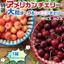 さくらんぼ 高級 アメリカンチェリー 大粒ダークチェリー&大粒レイニアチェリー MIX【1kg】 ギフト お試し プレゼント 果物 希少フルーツ 限定 高糖度 ...