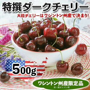 アメリカンチェリー　特選ダークチェリー　ワシントン州産　大粒さくらんぼ【500g】お試し価格　高級アメリカンチェリー　プレミアムフルーツ　百貨店品質ギフト　早めのお中元　高糖度・高級チェリー　贈物　プレゼント【6月20日～8月9日の出荷予定】・送料無料　00006K