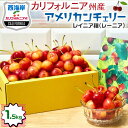 【最大2000円OFFクーポン】アメリカンチェリー カリフォルニア州産 レイニアチェリー 大粒【1.5kg】高級・特選アメリカンチェリー【5月下旬〜6月中旬の出...