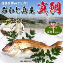 旬の真鯛 1枚三枚おろし済み 1kg(原体) 淡路島産 兵庫県産 血抜き・内臓鱗除去済み【料亭卸品質】あわじ島の活魚を絞めて出荷いたします 送料無料