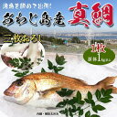 旬の真鯛　1枚三枚おろし済み　1kg(原体)　淡路島産　兵庫県産　血抜き・内臓鱗除去済み【料亭卸品質】あわじ島の活魚を絞めて出荷いたします　送料無料