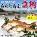 旬の真鯛　2枚　1kg(原体)×2　淡路島産　兵庫県産　血抜き・内臓鱗除去済み【料亭卸品質】あわじ島の活魚を絞めて出荷いたします　送料無料