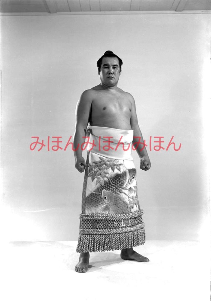 時津山仁一関 優勝ミニ額 大相撲ミニ額 大相撲優勝額 昭和28年夏場所 全勝 前頭 時津山仁一関優勝記念品 相撲グッズ 力士グッズ 相撲取りグッズ 国技館 限定...