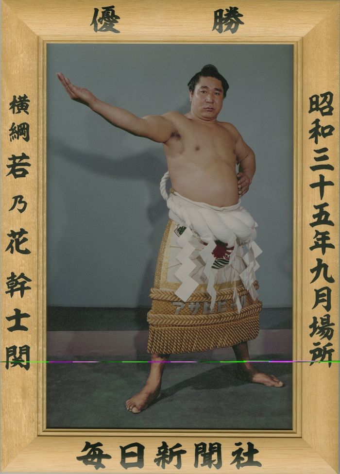 若乃花幹士関　優勝ミニ額 大相撲ミニ額 大相撲優勝額　昭和35年9月場所 優勝 横綱 若乃花幹士関（10回目最後の優勝）優勝記念品 相撲グッズ 力士グッズ 相撲取りグッズ 国技館 限定品 記念品 コレクション 写真 お相撲さん 送料無料