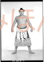 大鵬幸喜関 優勝ミニ額 大相撲ミニ額 大相撲優勝額 昭和37年1月場所 優勝 横綱 大鵬幸喜関(5回目の優勝)優勝記念品 相撲グッズ 力士グッズ 相撲取りグッズ...