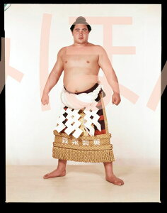 最大2000円クーポン◆大鵬幸喜関 優勝ミニ額 大相撲ミニ額 大相撲優勝額 昭和38年3月場所 優勝 横綱 大鵬幸喜関(10回目の優勝)優勝記念品 相撲グッズ 力士グッズ 相撲取りグッズ 国技館 限定品 記念品 コレクション 写真 S3803