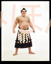 大鵬幸喜関 優勝ミニ額 大相撲ミニ額 大相撲優勝額 昭和39年3月場所 全勝 横綱 大鵬幸喜関(13回目の優勝)優勝記念品 相撲グッズ 力士グッズ 相撲取りグッズ 国技館 限定品 記念品 コレクション 写真 S3903