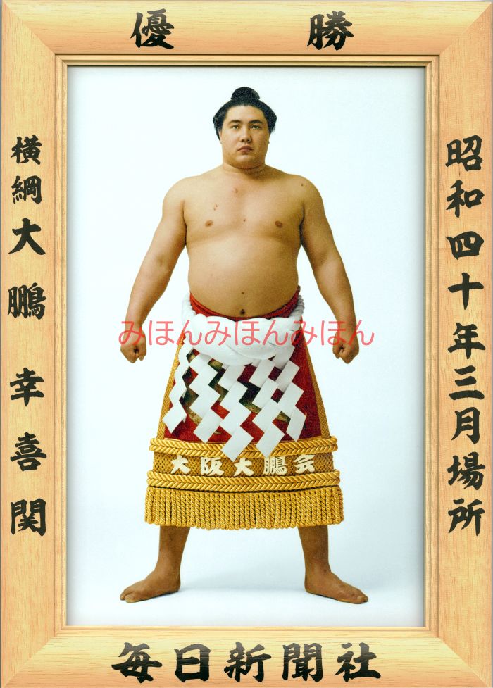 大鵬幸喜関 優勝ミニ額 大相撲ミニ額 大相撲優勝額 昭和40年3月場所 優勝 横綱 大鵬幸喜関（16回目の優勝）優勝記念品 相撲グッズ 力士グッズ 相撲取りグッズ 国技館 限定品 記念品 コレクション 写真 お相撲さん 送料無料