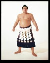 大鵬幸喜関 優勝ミニ額 大相撲ミニ額 大相撲優勝額 昭和41年9月場所 優勝 横綱 大鵬幸喜関(22回目の優勝)優勝記念品 相撲グッズ 力士グッズ 相撲取りグッズ 国技館 限定品 記念品 コレクション 写真 S4109