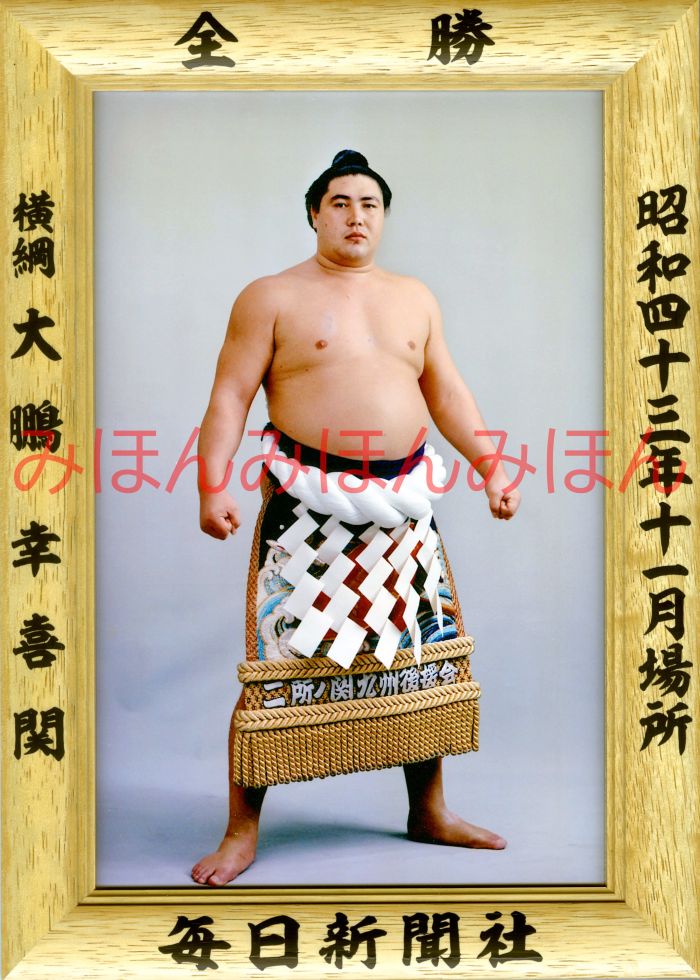 大鵬幸喜関 優勝ミニ額 大相撲ミニ額 大相撲優勝額 昭和43年11月場所 全勝 横綱 大鵬幸喜関（28回目の優勝）優勝記念品 相撲グッズ 力士グッズ 相撲取りグッズ 国技館 限定品 記念品 コレクション 写真 お相撲さん 送料無料