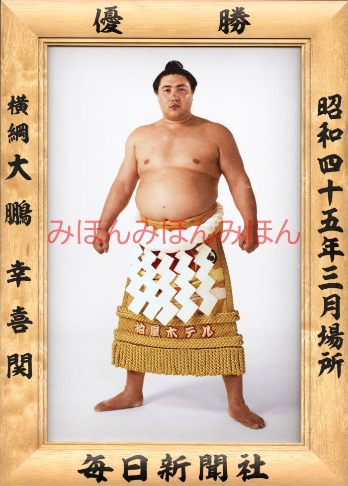 大鵬幸喜関 優勝ミニ額 大相撲ミニ額 大相撲優勝額 昭和45年3月場所 優勝 横綱 大鵬幸喜関（31回目の優勝）優勝記念品 相撲グッズ 力士グッズ 相撲取りグッズ 国技館 限定品 記念品 コレクション 写真 お相撲さん 送料無料