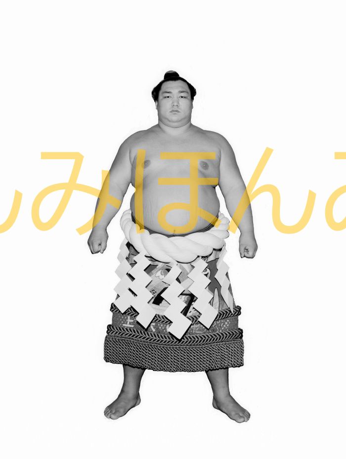 北の湖敏満関 優勝ミニ額 大相撲ミニ額 大相撲優勝額 昭和54年3月場所 全勝 横綱 北の湖敏満関(16回目の優勝)優勝記念品 相撲グッズ 力士グッズ 相撲取り...