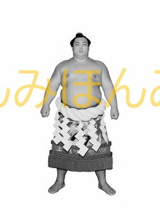 最大2000円クーポン◆北の湖敏満関 優勝ミニ額 大相撲ミニ額 大相撲優勝額 昭和54年3月場所 全勝 横綱 北の湖敏満関(16回目の優勝)優勝記念品 相撲グッズ 力士グッズ 相撲取りグッズ 国技館 限定品 記念品 コレクション 写真 S5403